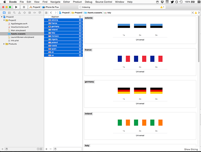 When you let go, 12 new entries will be created in the asset catalog, one for each country.