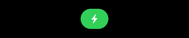 A white lightning bolt icon inside a green capsule or pill shape.